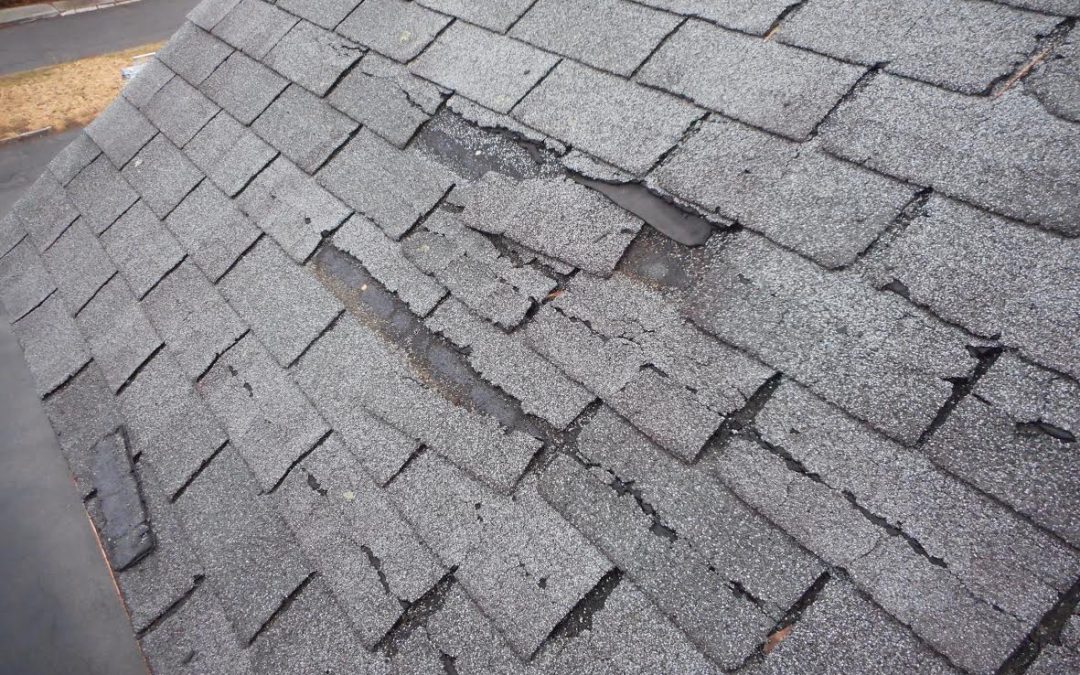 Damaged shingles